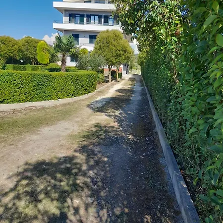 Aldesa *